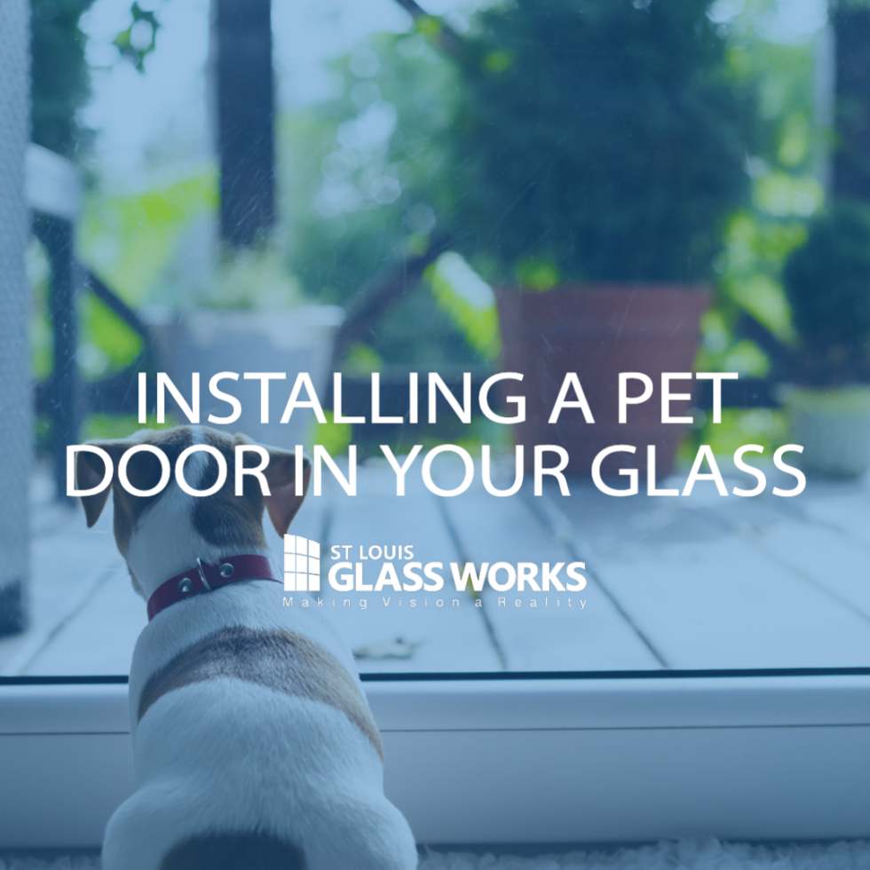 Installing a Pet Door in Your Glass St. Louis Glass Works